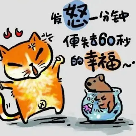 欢乐大本营
